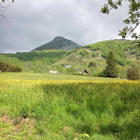 Chalet Avec Vue Panoramique Sur Le Plomb Du Cantal Villa Saint-Jacques-des-Blats Exteriör bild