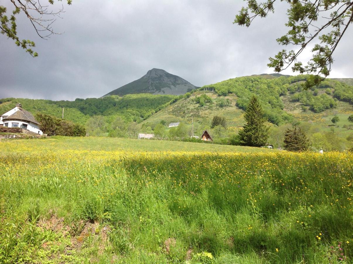 Chalet Avec Vue Panoramique Sur Le Plomb Du Cantal Villa Saint-Jacques-des-Blats Exteriör bild