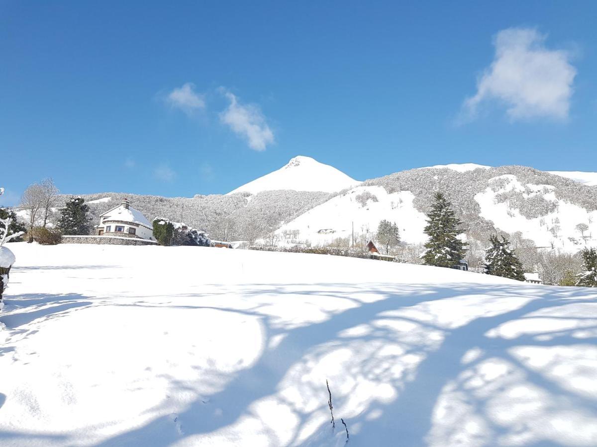 Chalet Avec Vue Panoramique Sur Le Plomb Du Cantal Villa Saint-Jacques-des-Blats Exteriör bild