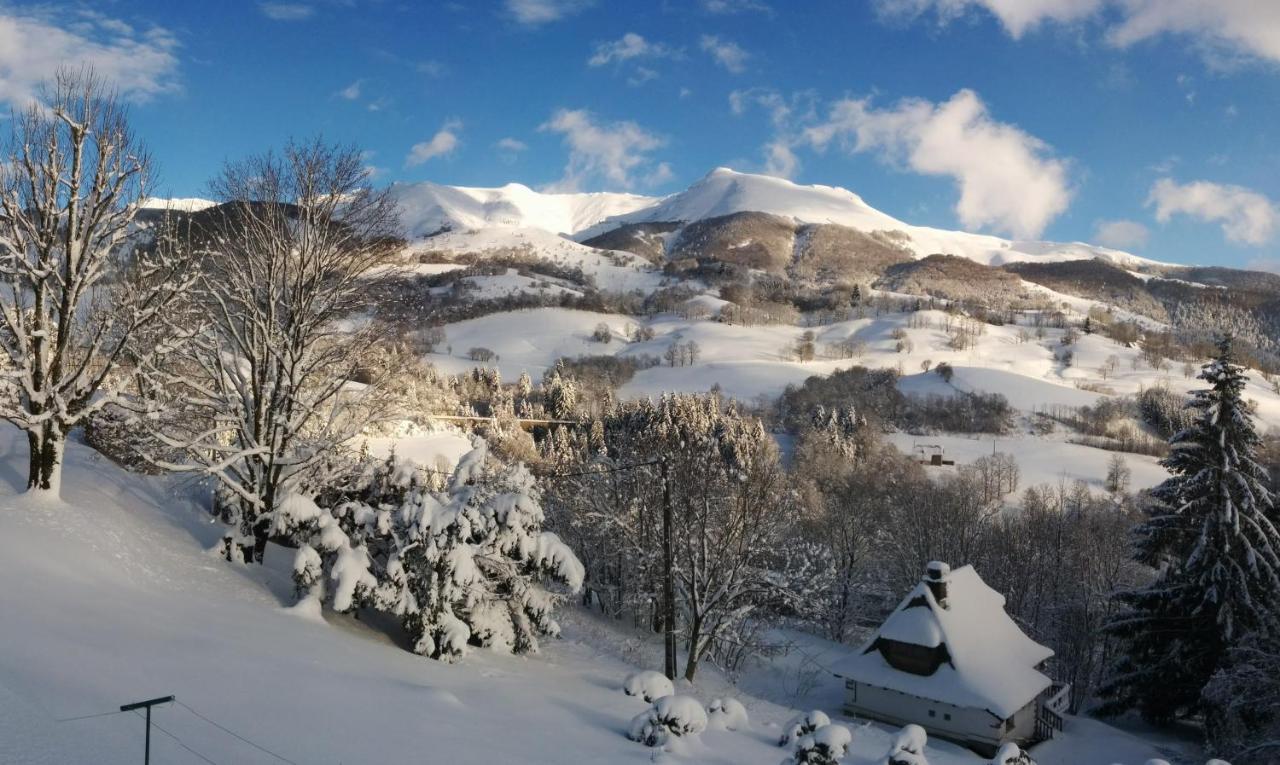 Chalet Avec Vue Panoramique Sur Le Plomb Du Cantal Villa Saint-Jacques-des-Blats Exteriör bild