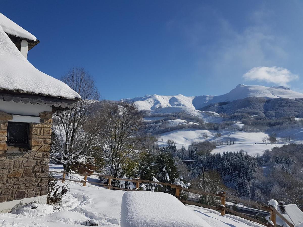 Chalet Avec Vue Panoramique Sur Le Plomb Du Cantal Villa Saint-Jacques-des-Blats Exteriör bild