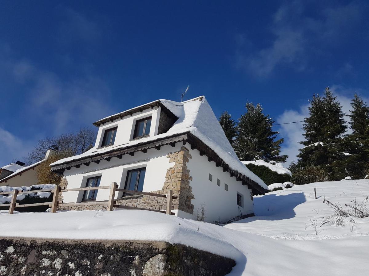 Chalet Avec Vue Panoramique Sur Le Plomb Du Cantal Villa Saint-Jacques-des-Blats Exteriör bild