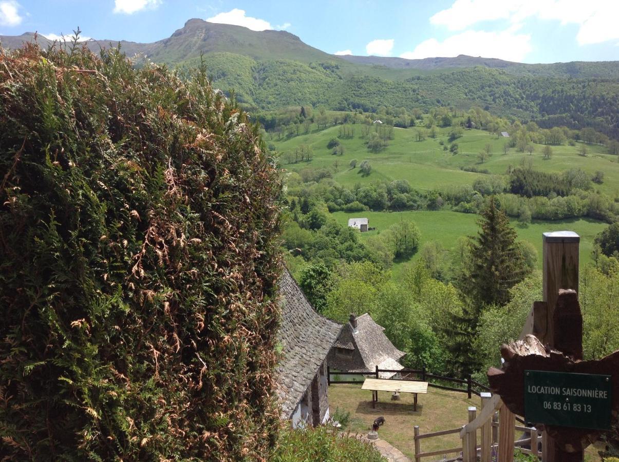 Chalet Avec Vue Panoramique Sur Le Plomb Du Cantal Villa Saint-Jacques-des-Blats Exteriör bild