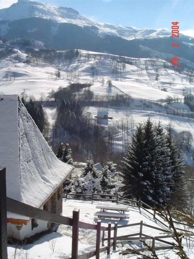 Chalet Avec Vue Panoramique Sur Le Plomb Du Cantal Villa Saint-Jacques-des-Blats Exteriör bild