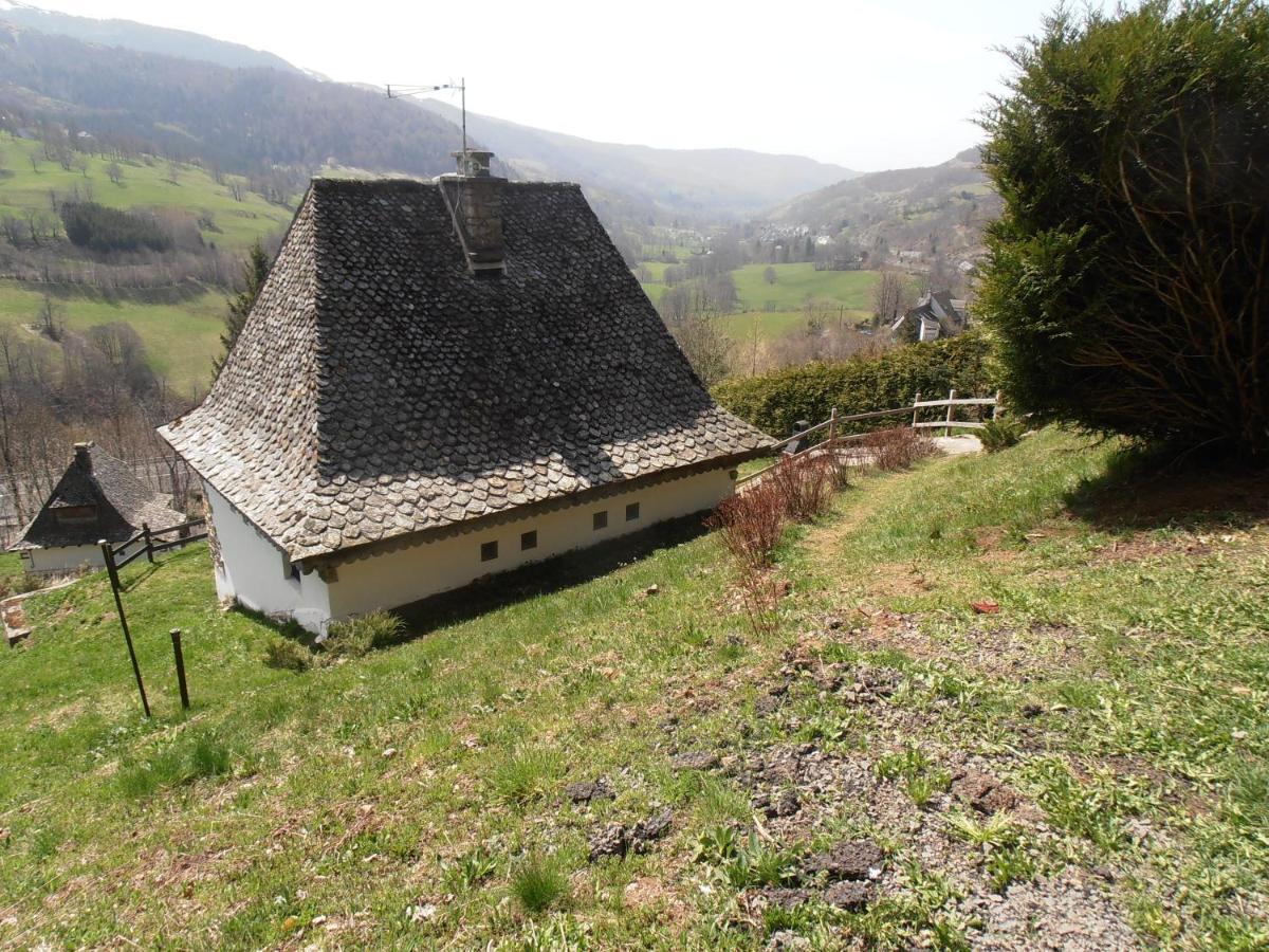 Chalet Avec Vue Panoramique Sur Le Plomb Du Cantal Villa Saint-Jacques-des-Blats Exteriör bild