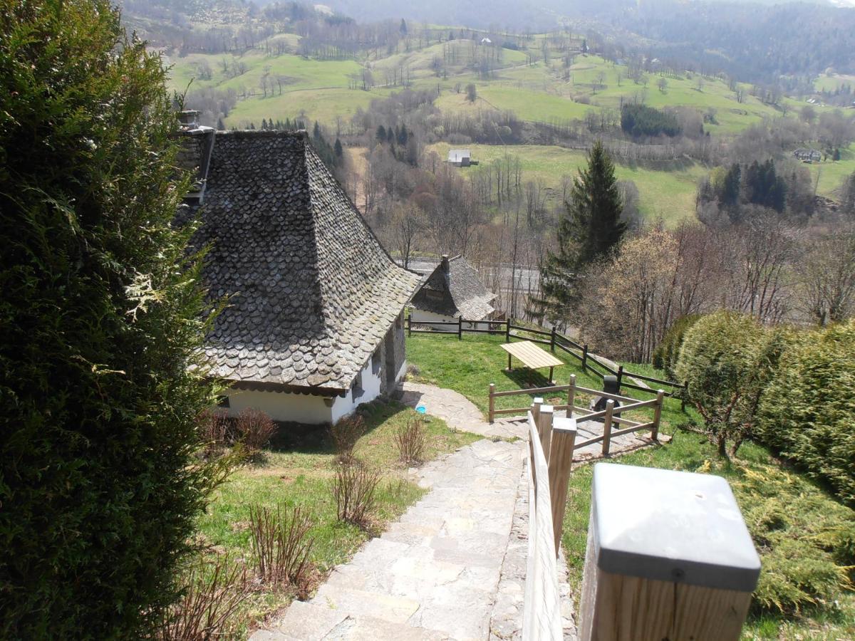 Chalet Avec Vue Panoramique Sur Le Plomb Du Cantal Villa Saint-Jacques-des-Blats Exteriör bild