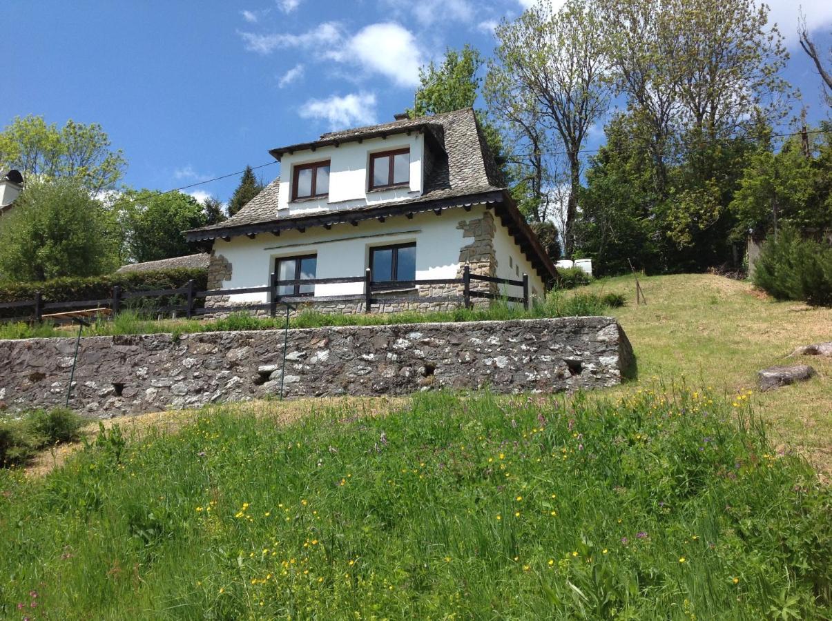 Chalet Avec Vue Panoramique Sur Le Plomb Du Cantal Villa Saint-Jacques-des-Blats Exteriör bild