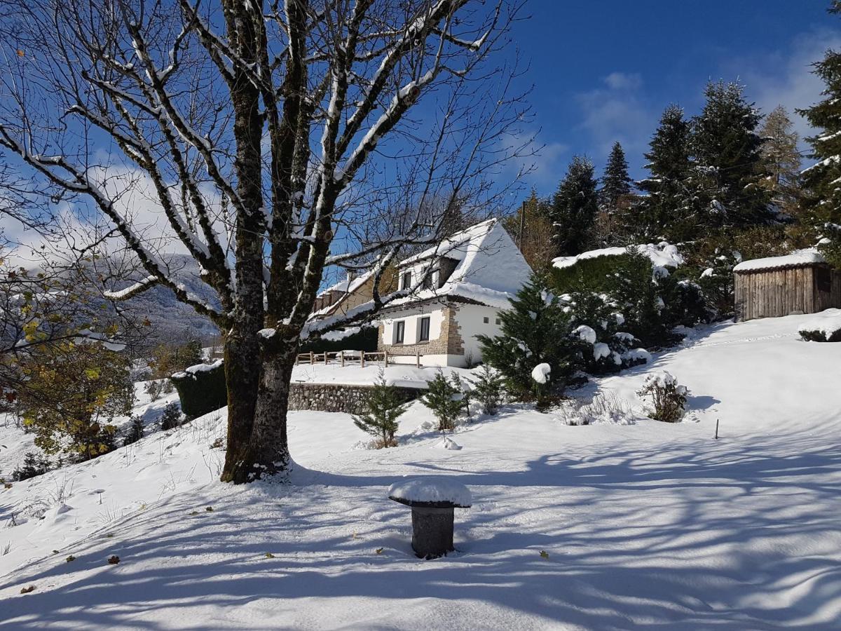 Chalet Avec Vue Panoramique Sur Le Plomb Du Cantal Villa Saint-Jacques-des-Blats Exteriör bild