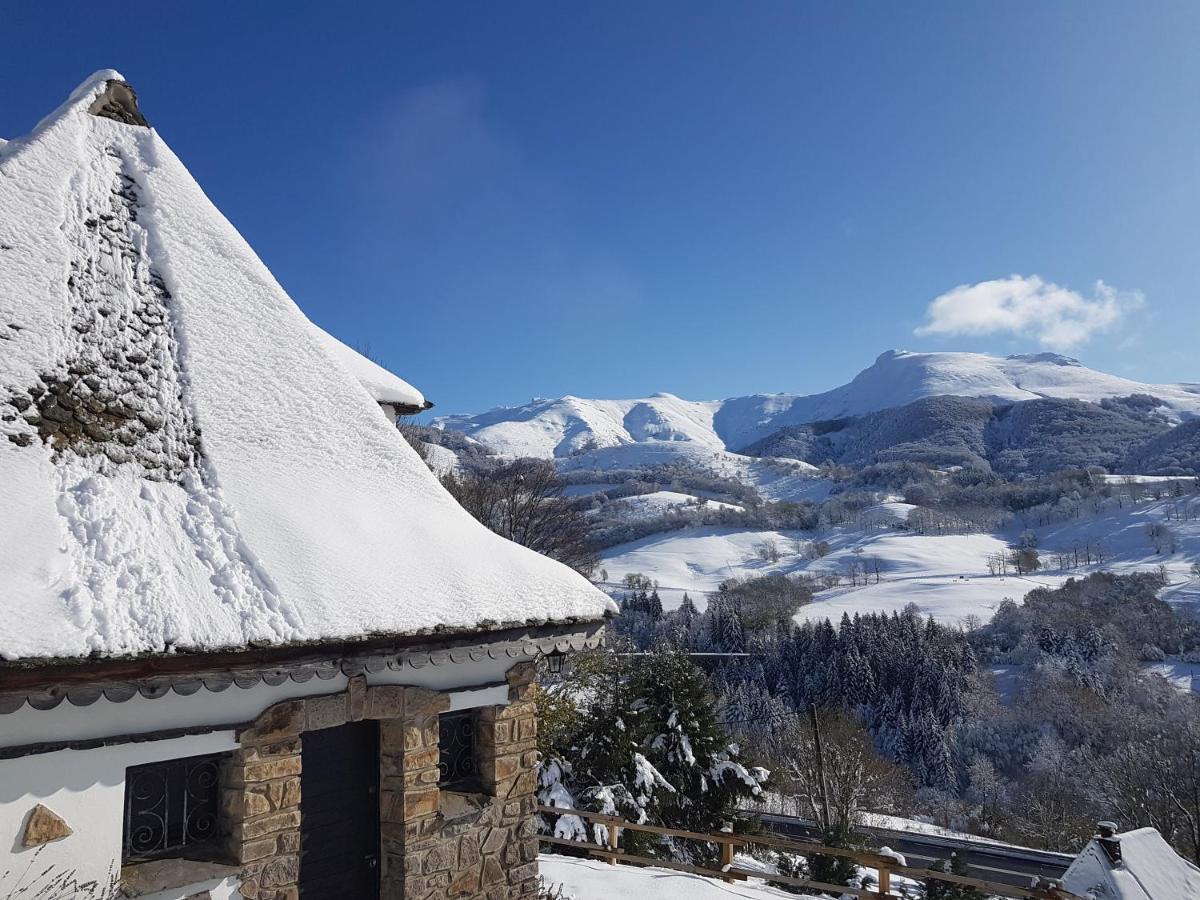 Chalet Avec Vue Panoramique Sur Le Plomb Du Cantal Villa Saint-Jacques-des-Blats Exteriör bild