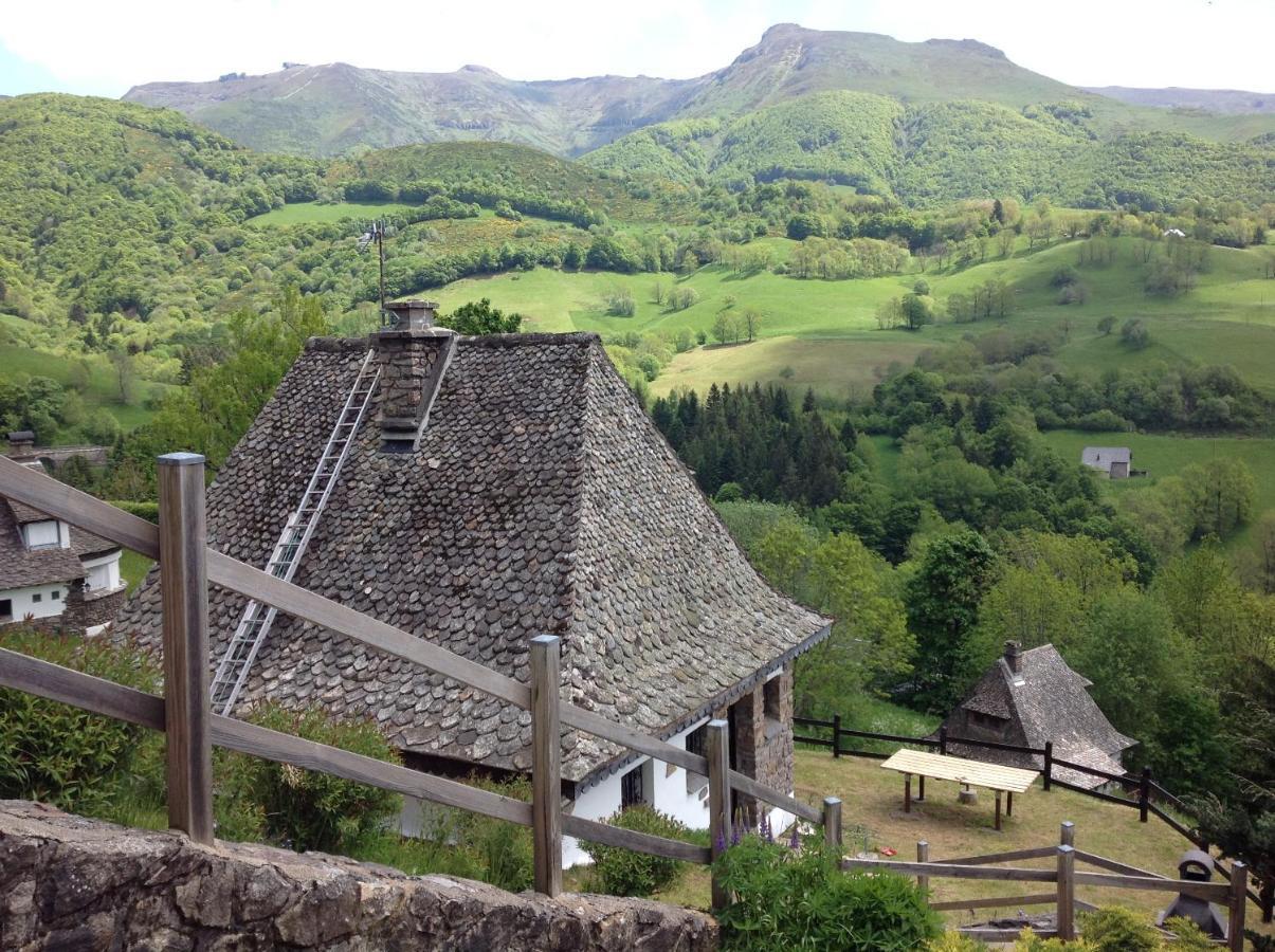 Chalet Avec Vue Panoramique Sur Le Plomb Du Cantal Villa Saint-Jacques-des-Blats Exteriör bild