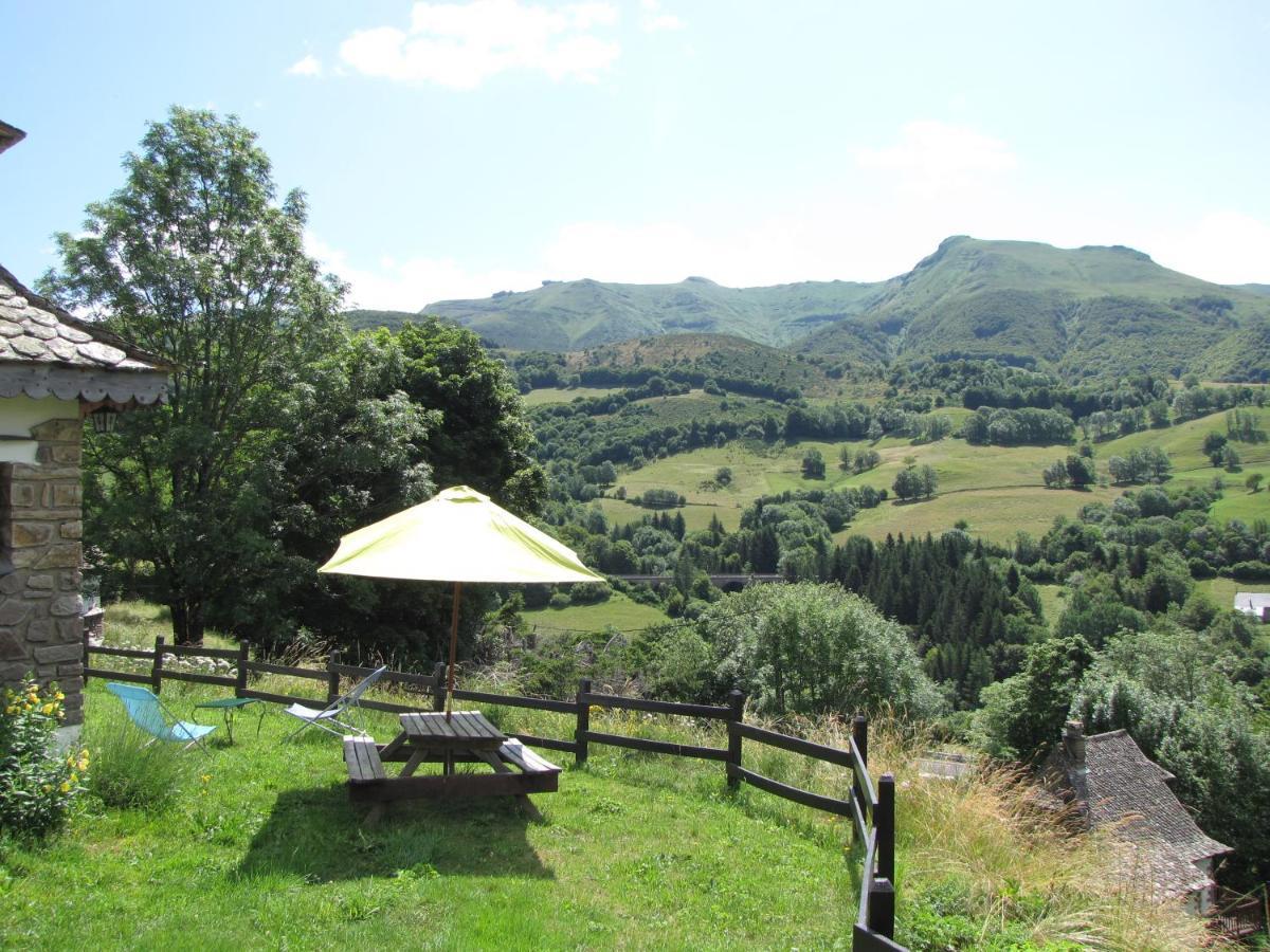 Chalet Avec Vue Panoramique Sur Le Plomb Du Cantal Villa Saint-Jacques-des-Blats Exteriör bild